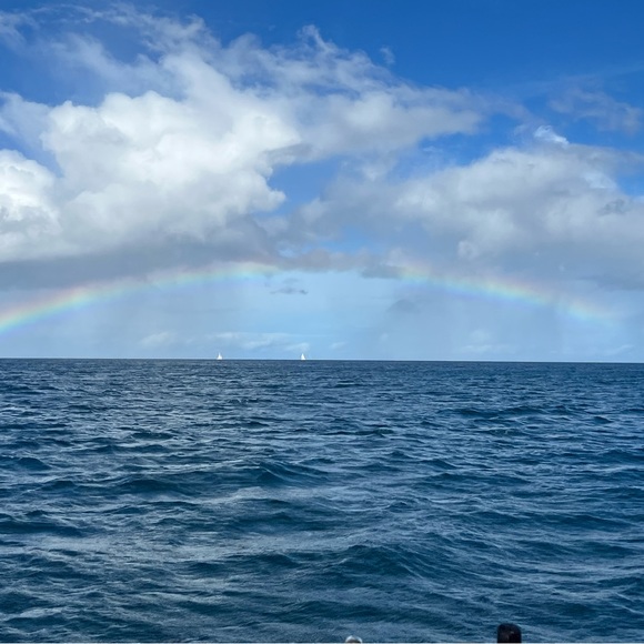 Meet your Posher, Margaret - Picture 7 of 8